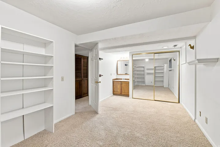 Built-in shelving, carpet flooring, a vanity with a wood-finish cabinet and mirror, and mirrored closet doors
