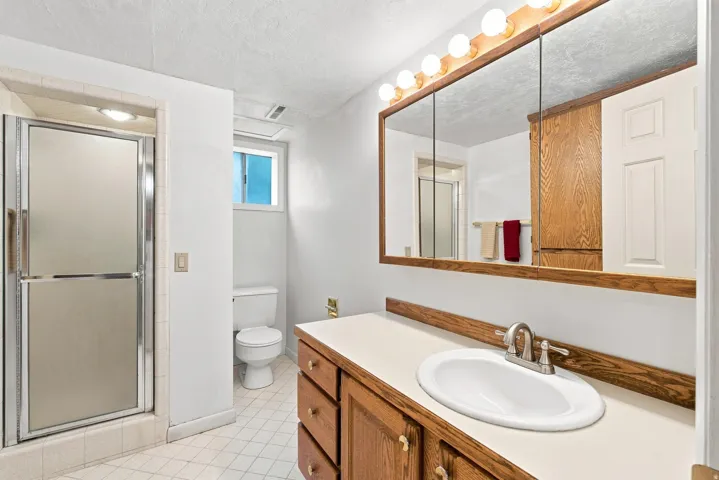 Walk-in shower with frosted glass doors, a single vanity with an integrated sink, and wood-finish cabinetry