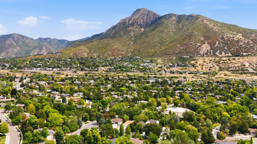 Expansive neighborhood setting with abundant mature trees and mountainous terrain