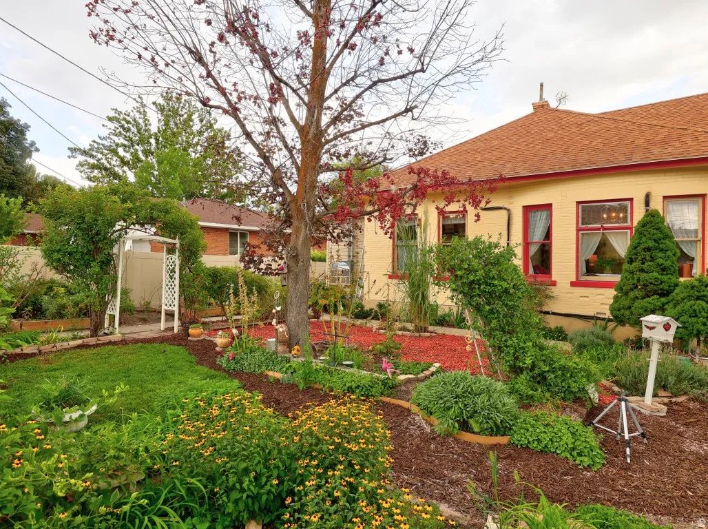 Pretty side yard