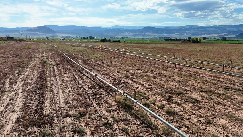 Expansive agricultural land featuring irrigation lines