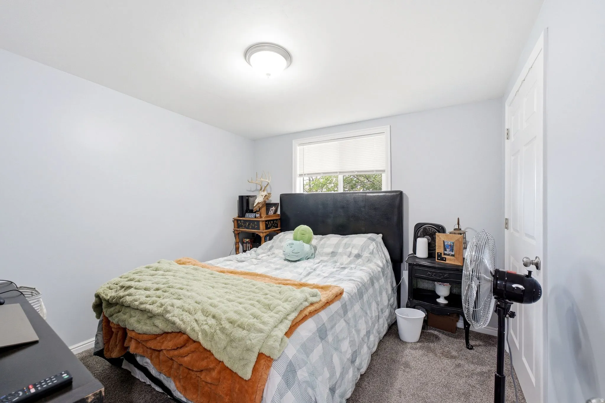 Carpeted flooring, white trim, and a window with roller shade