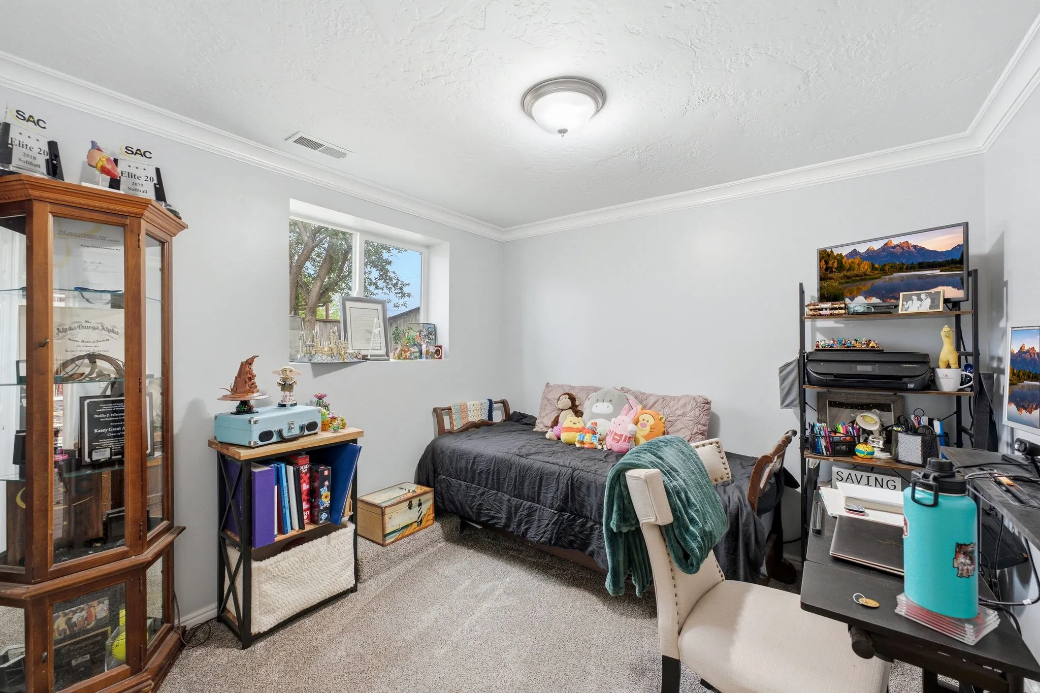 Recessed window with exterior views, crown molding, and a flush mount ceiling light