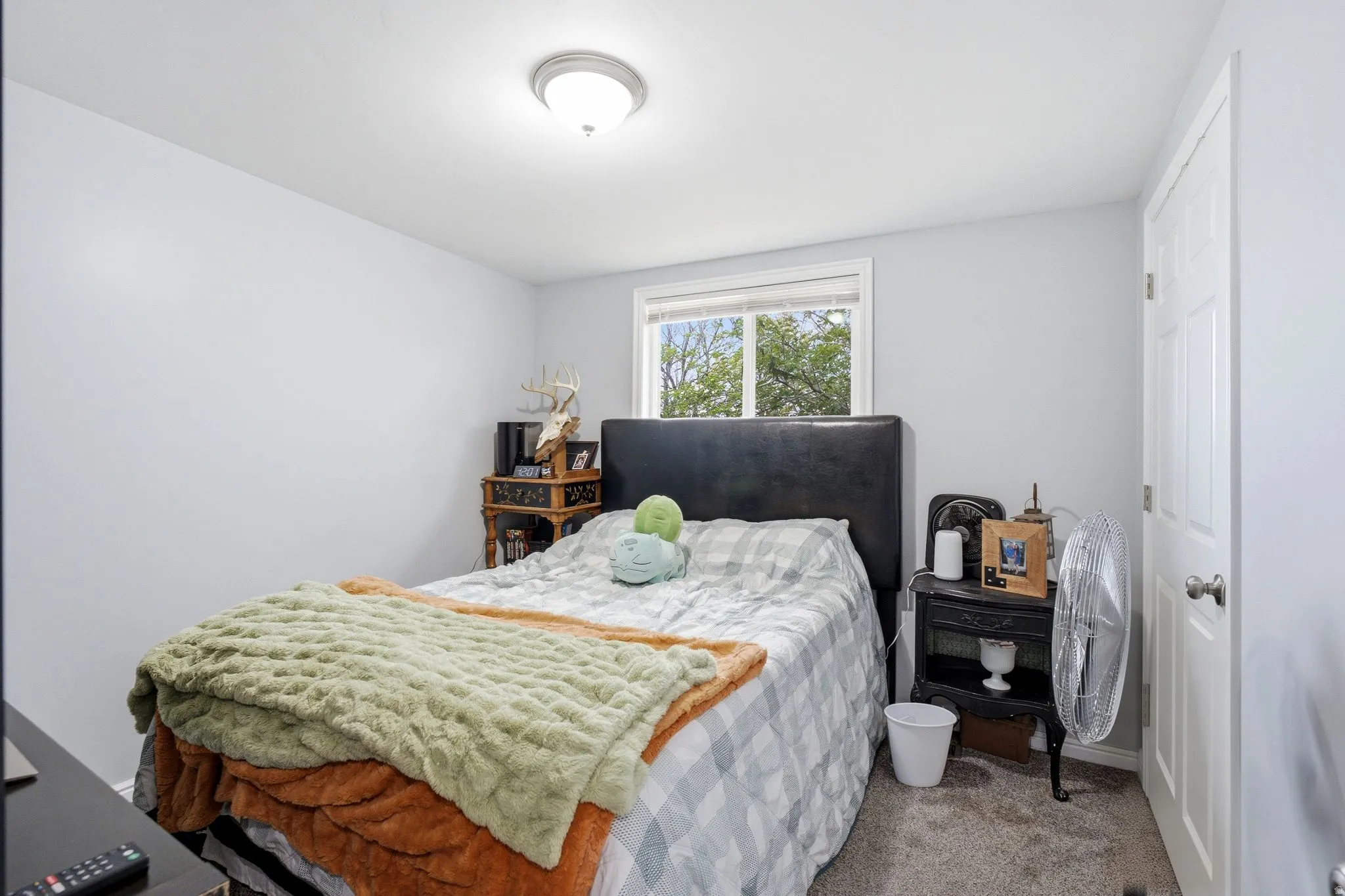 Carpeted flooring, a flush-mount ceiling light fixture, and a white interior door with a silver-finish knob