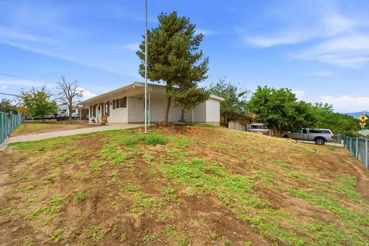 Expansive sloped grounds with newly seeded lawn and mature tree canopy
