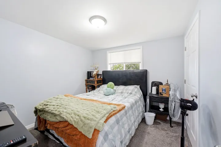 Carpeted flooring, white trim, and a window with roller shade
