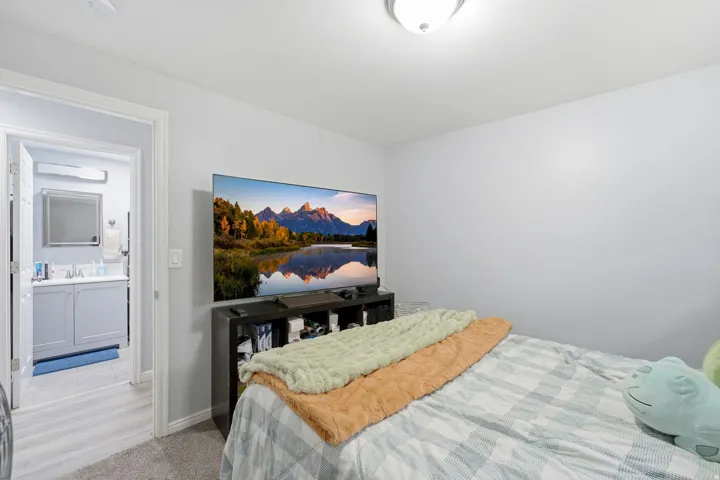 Carpeted flooring, recessed ceiling light fixture, and a light gray wall color