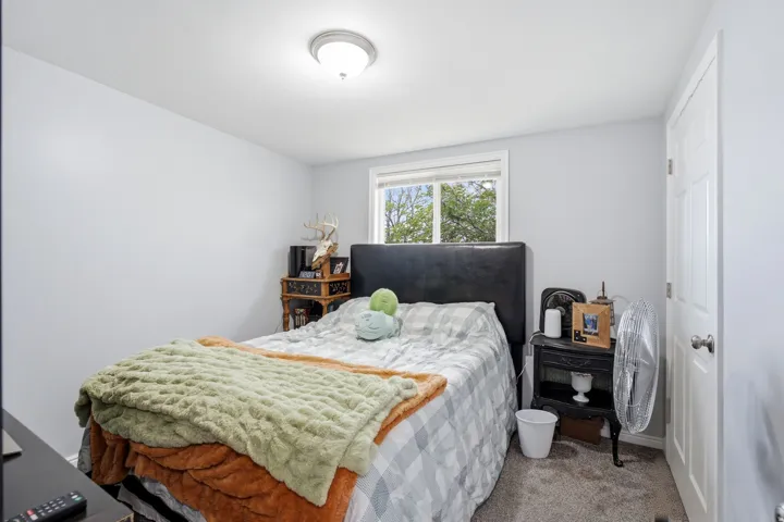 Carpeted flooring, a flush-mount ceiling light fixture, and a white interior door with a silver-finish knob