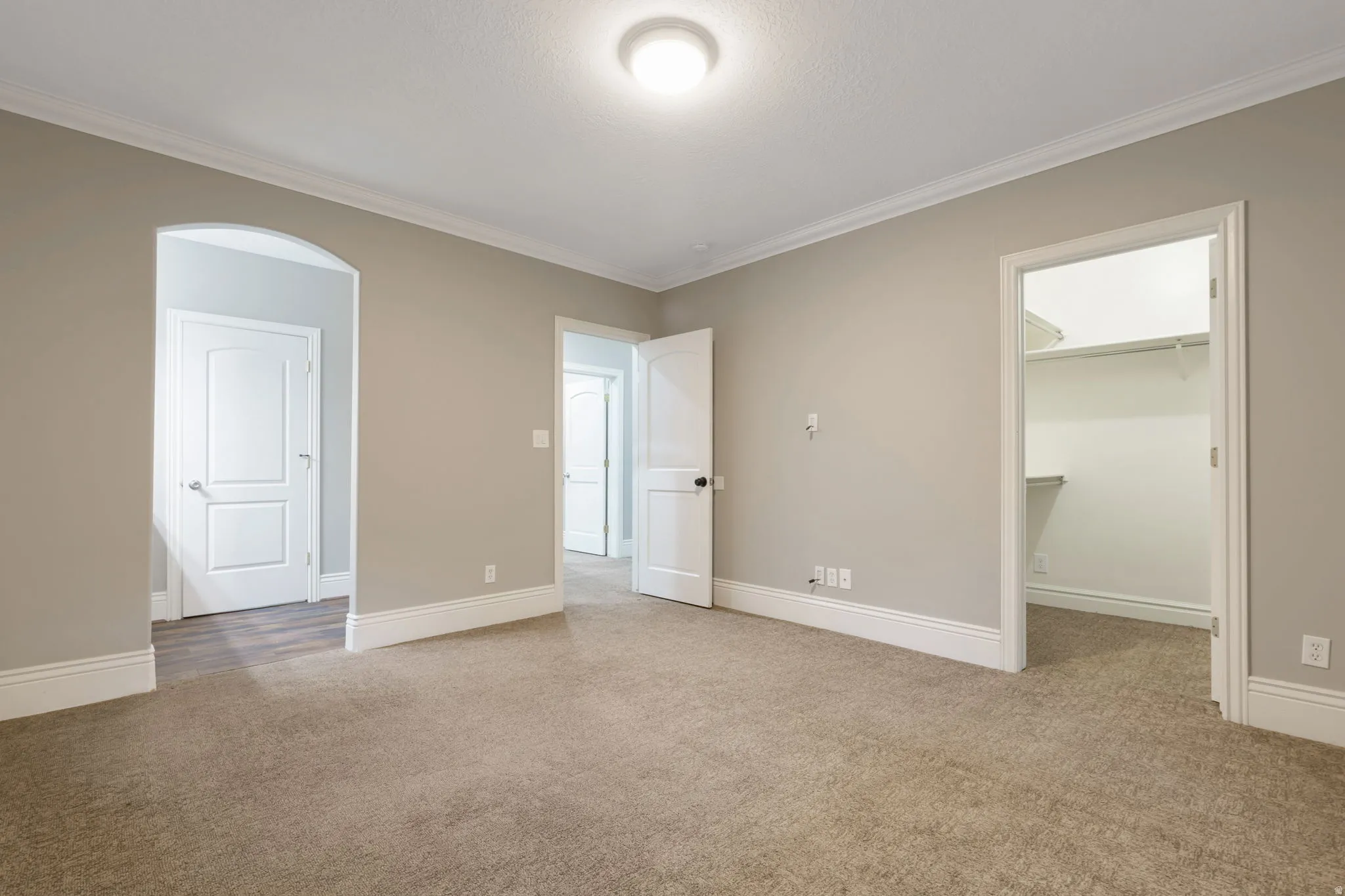 Plush carpet flooring, crown molding, a ceiling-mounted light fixture, white interior doors, and a walk-in closet with built-in shelving
