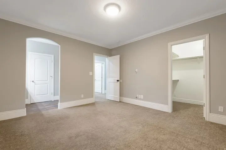 Plush carpet flooring, crown molding, a ceiling-mounted light fixture, white interior doors, and a walk-in closet with built-in shelving