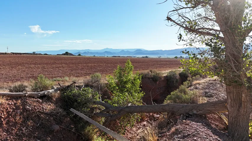 Expansive agricultural land featuring cultivated earth and distant mountain ranges under a clear sky