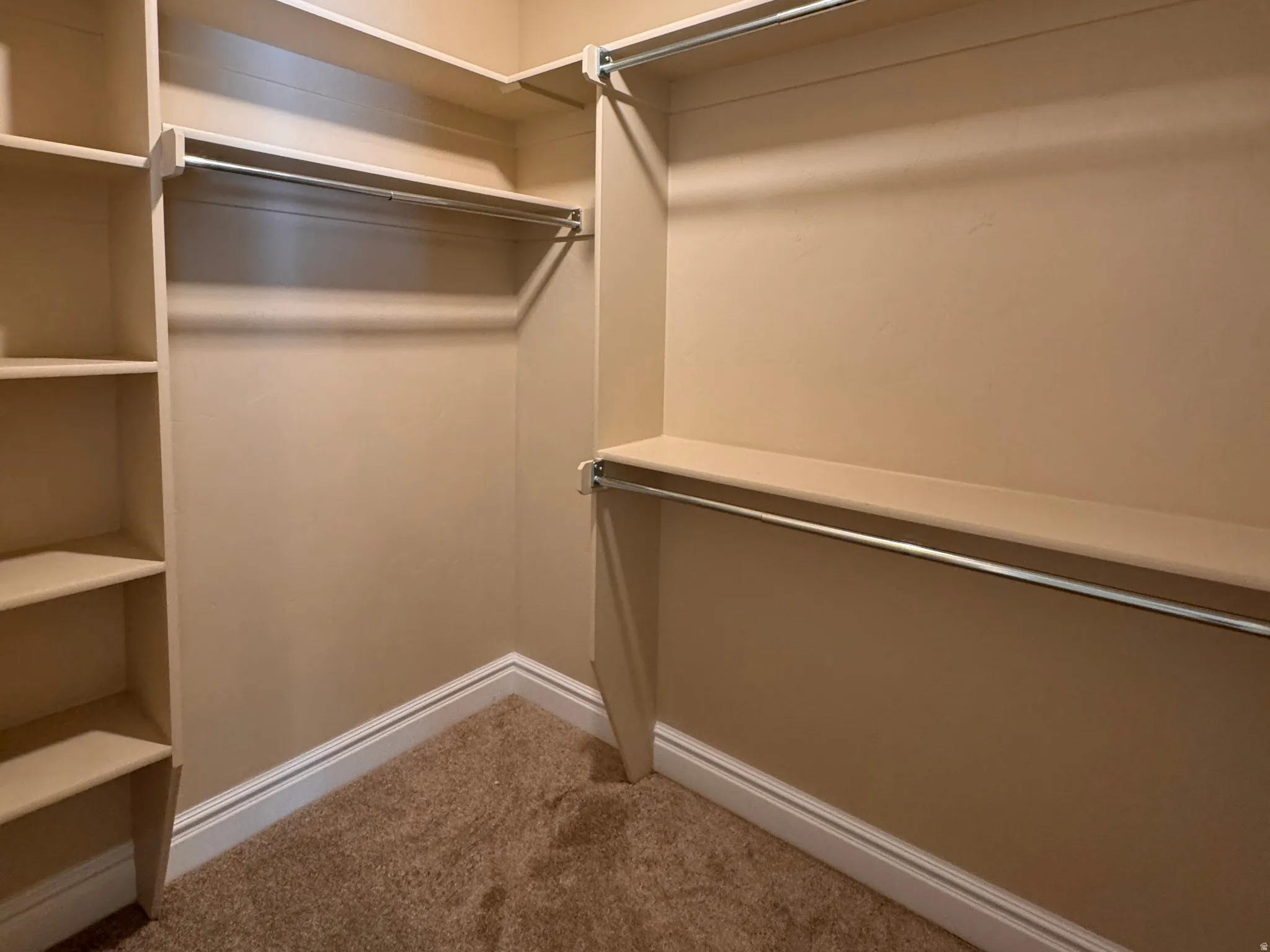 Walk-in closet primary closet