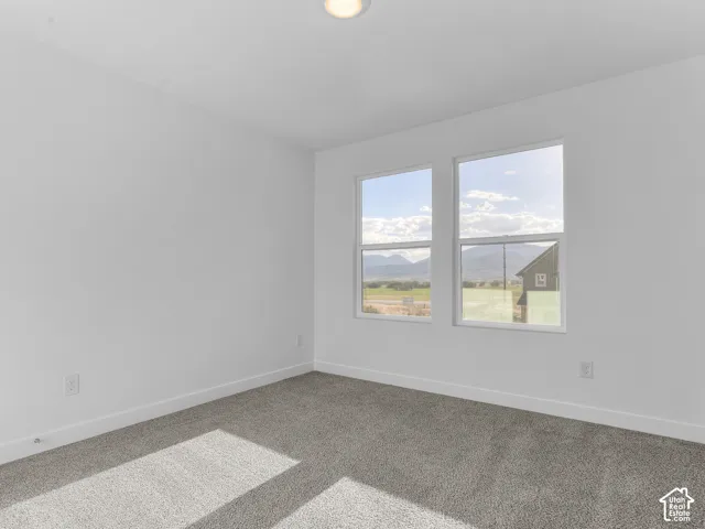 Dual windows with mountain scenery, neutral carpeting, and a flush-mount ceiling light