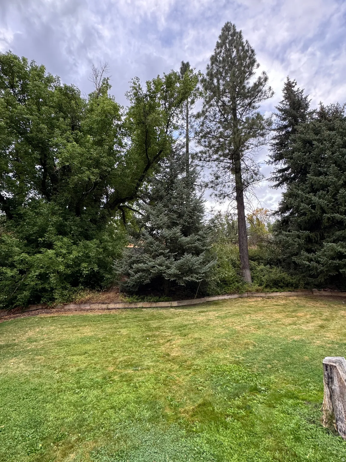 Expansive lawn with mature trees and established perimeter landscaping
