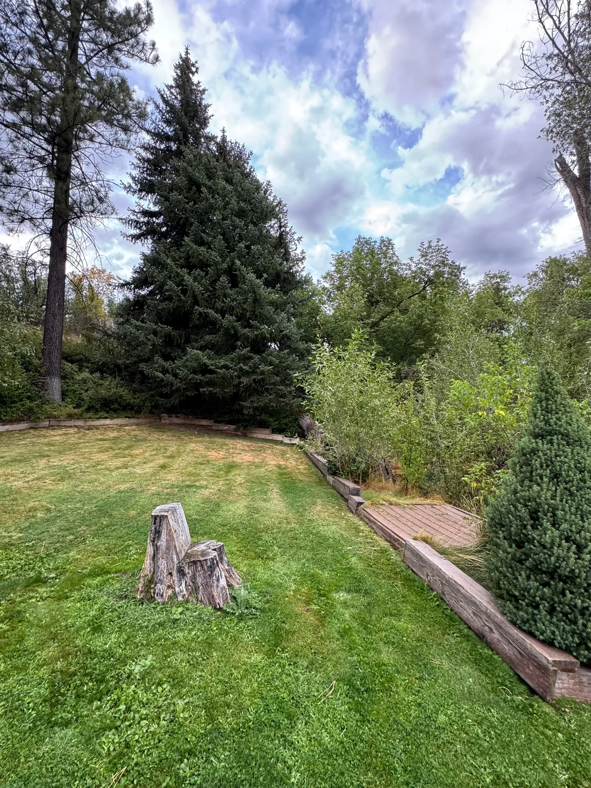 Expansive lawn area with established mature trees and a wood timber retaining wall