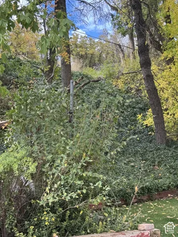 Sloped rear lot featuring mature trees, ground cover, and a tiered wood retaining wall