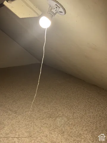 Attic space featuring carpeted flooring and a ceiling-mounted light fixture with pull-chain operation
