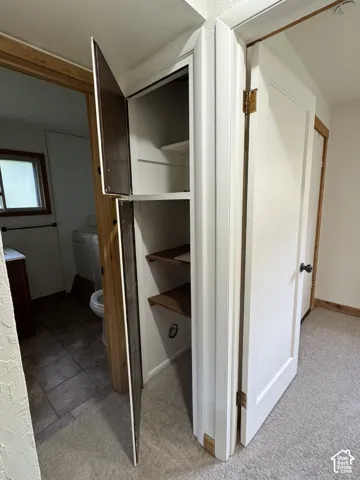 Built-in floor-to-ceiling cabinetry featuring multi-level shelving, solid-core doors, and neutral carpeting