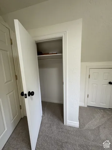 Walk-in closet featuring a built-in upper shelf, accompanied by two paneled interior doors with matte black hardware and wall-to-wall carpeting
