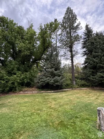 Expansive lawn with mature trees and established perimeter landscaping