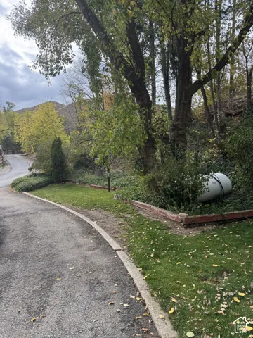 Paved asphalt driveway featuring stone curbing, mature trees, tiered landscaping, and a mountainous backdrop
