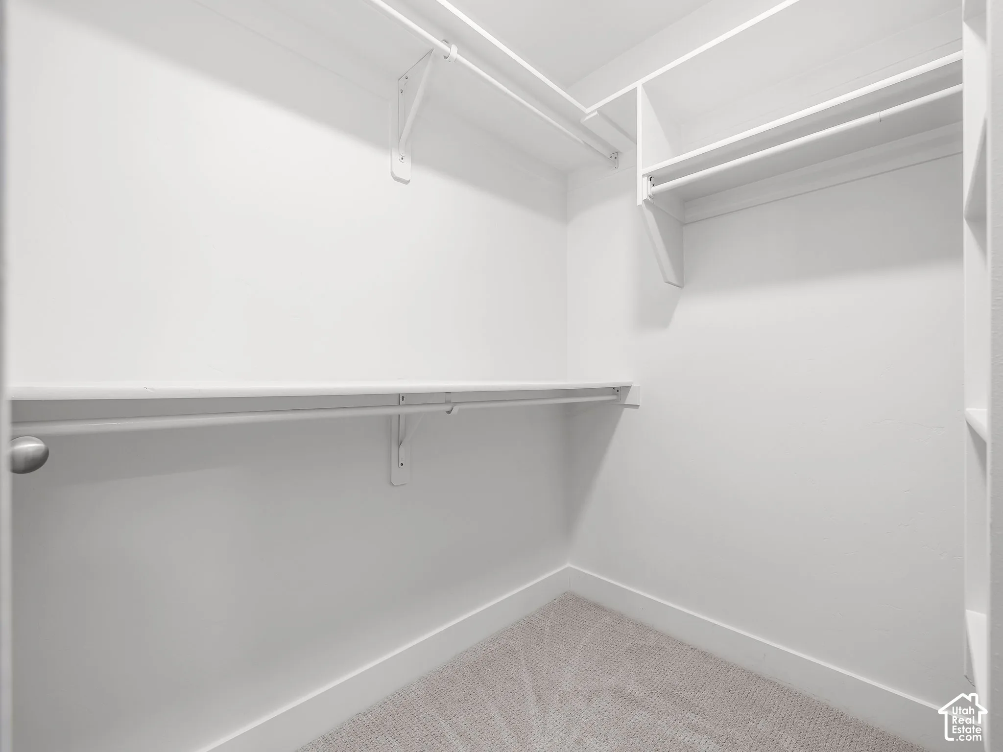 Walk-in closet featuring white built-in shelving, white hanging rods, and carpet flooring