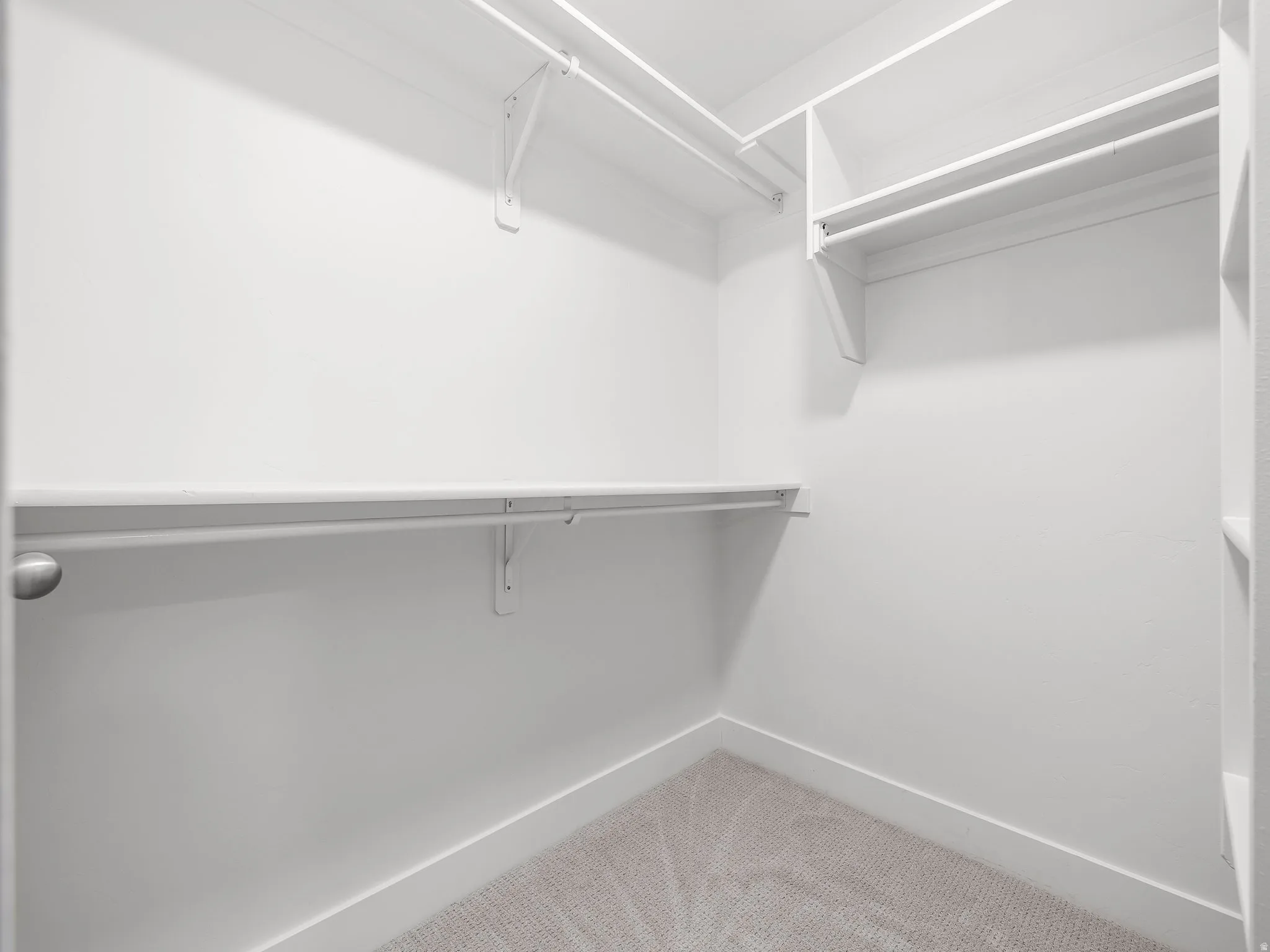 Walk-in closet featuring white built-in shelving, white hanging rods, and carpet flooring