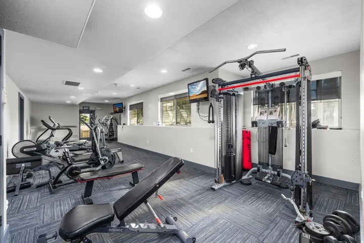 Recreational facility featuring patterned carpet flooring, recessed lighting, and a variety of exercise equipment