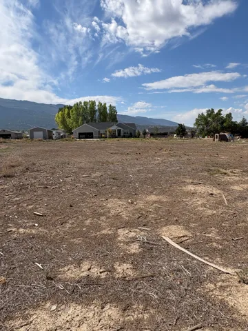 Expansive undeveloped lot with open space