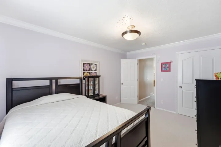 Wall-to-wall carpeting and crown molding