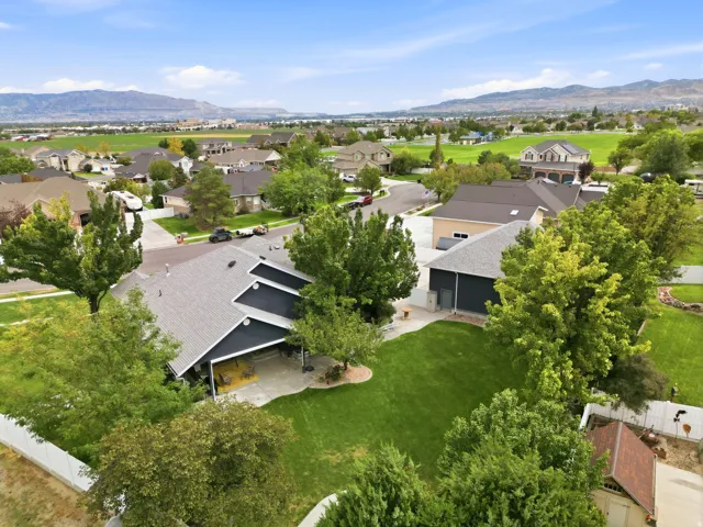 Expansive green lawn, mature trees, and a private fenced yard
