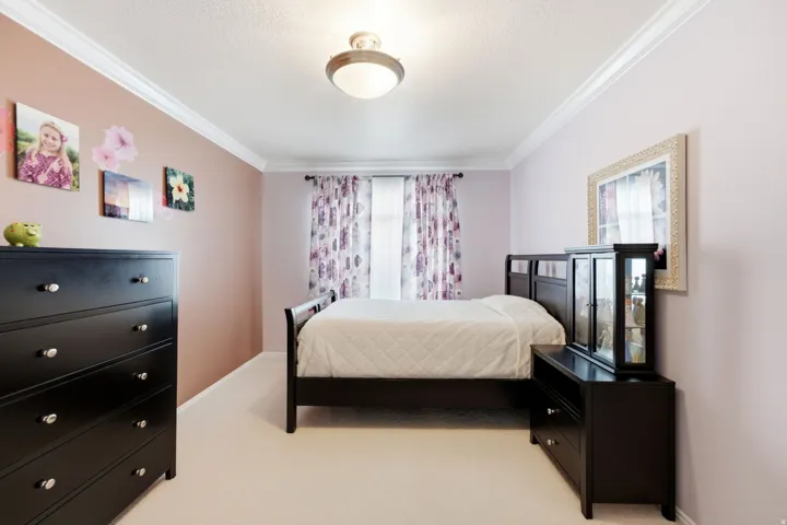 Wall-to-wall carpeting with crown molding and a ceiling-mounted light fixture