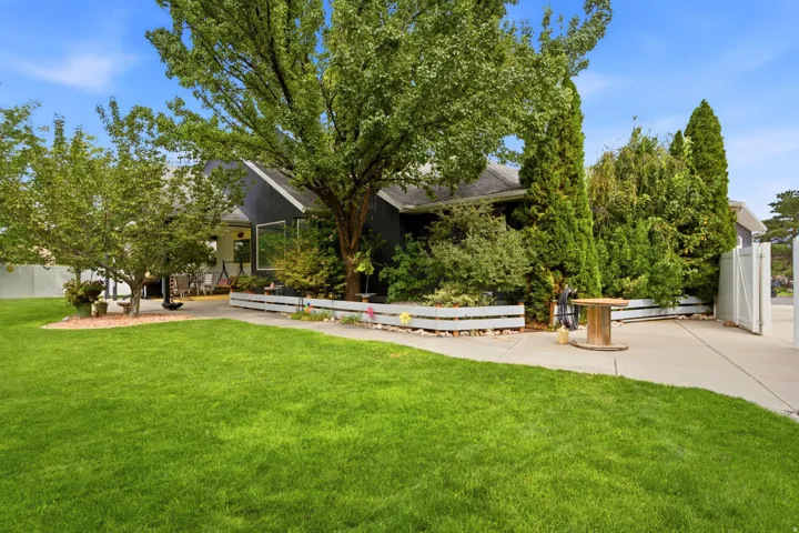 Expansive front lawn with mature trees and a concrete pathway leading to the entrance