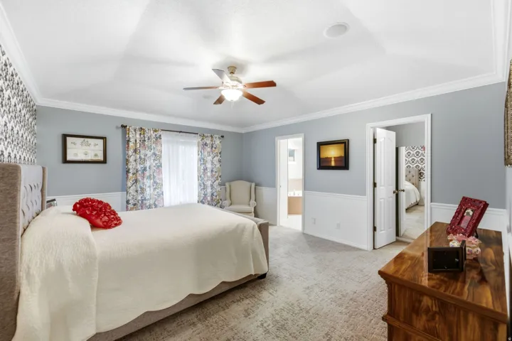 Recessed lighting, crown molding, ceiling fan, wainscoting, and carpeted flooring
