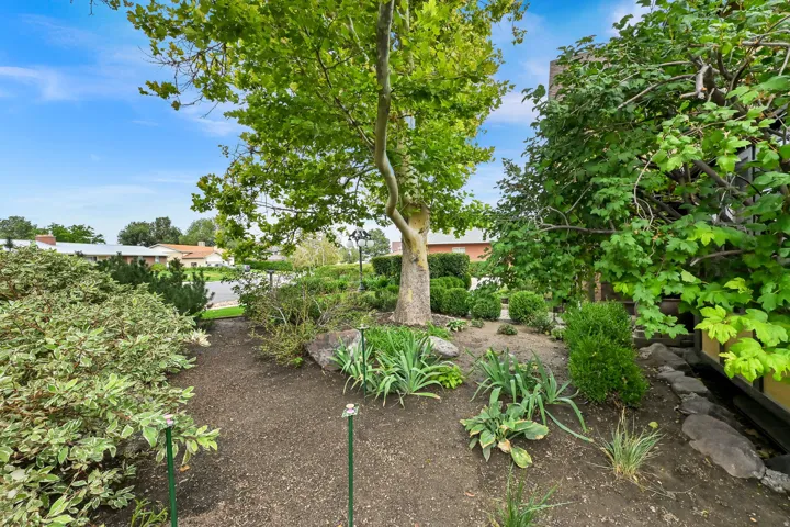 Landscaped garden bed featuring diverse plantings, mature tree, and decorative boulders