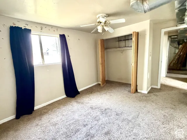 Carpeted room featuring a ceiling fan, a window, and a built-in closet with bi-fold doors