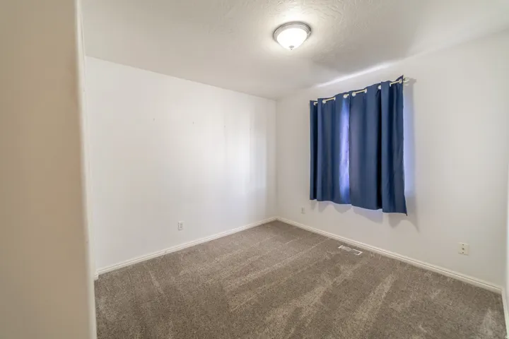 Carpeted flooring, white walls, ceiling-mounted light fixture, and a window with curtains