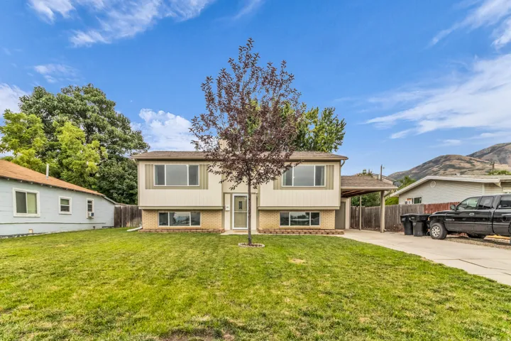 Split-level residence featuring a neutral exterior, established front lawn, mature tree, multi-pane windows, and a covered carport