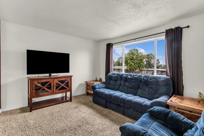 Large picture window with dark drapery rods and fabric panels, neutral wall color, and textured carpeting