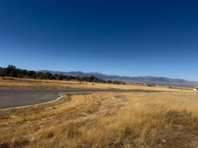 Expansive natural landscape featuring a paved road