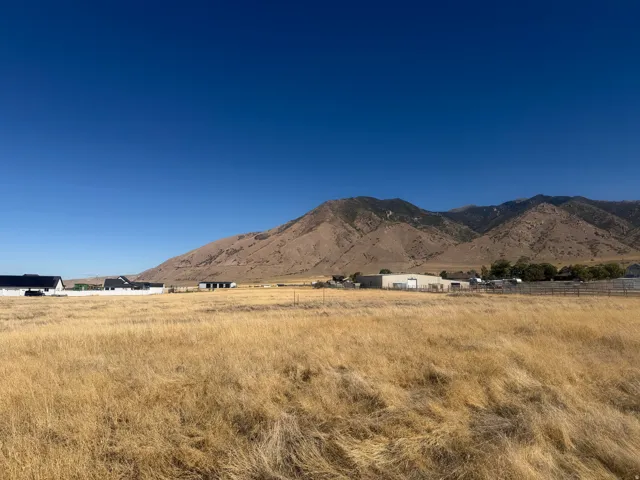 Expansive open field with a mountainous backdrop