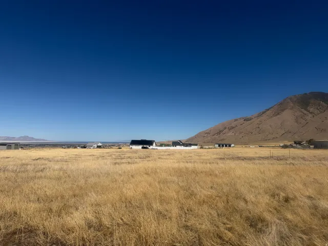 Expansive golden grass landscape with mountain backdrop