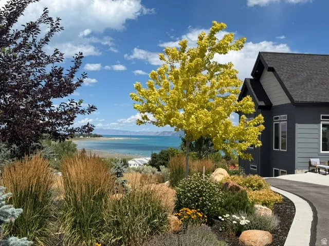 Contemporary exterior with dark siding and contrasting trim, mature landscaping, paved driveway, and distant water