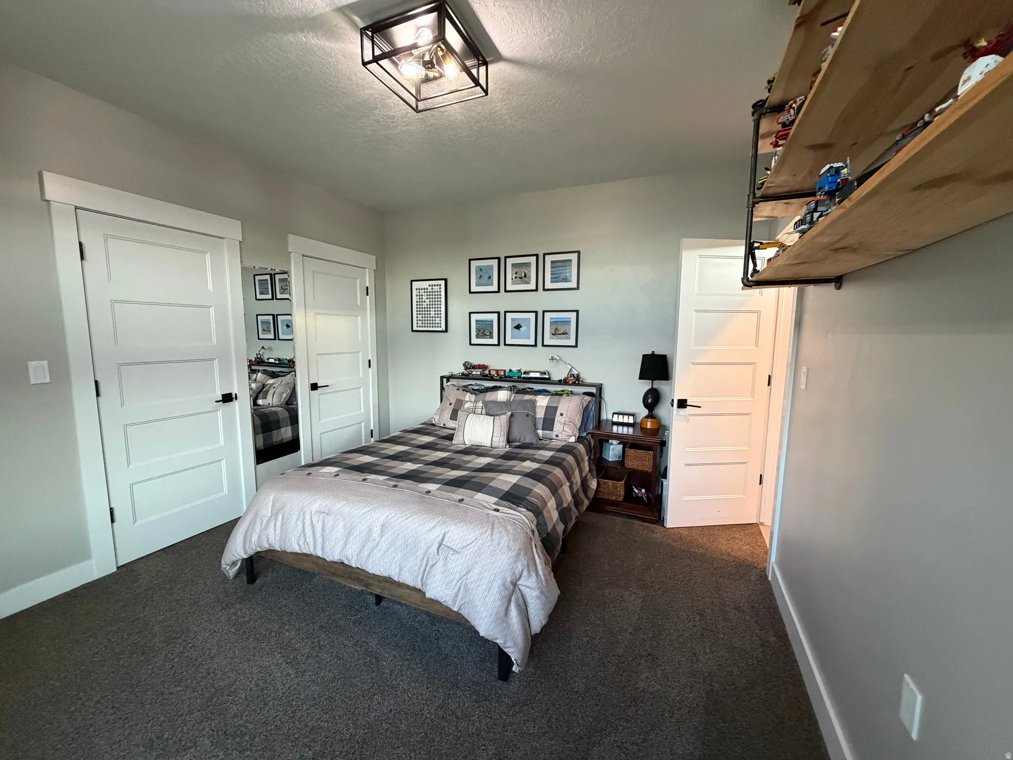 Carpeted flooring, white trim, and a black metal-framed light fixture