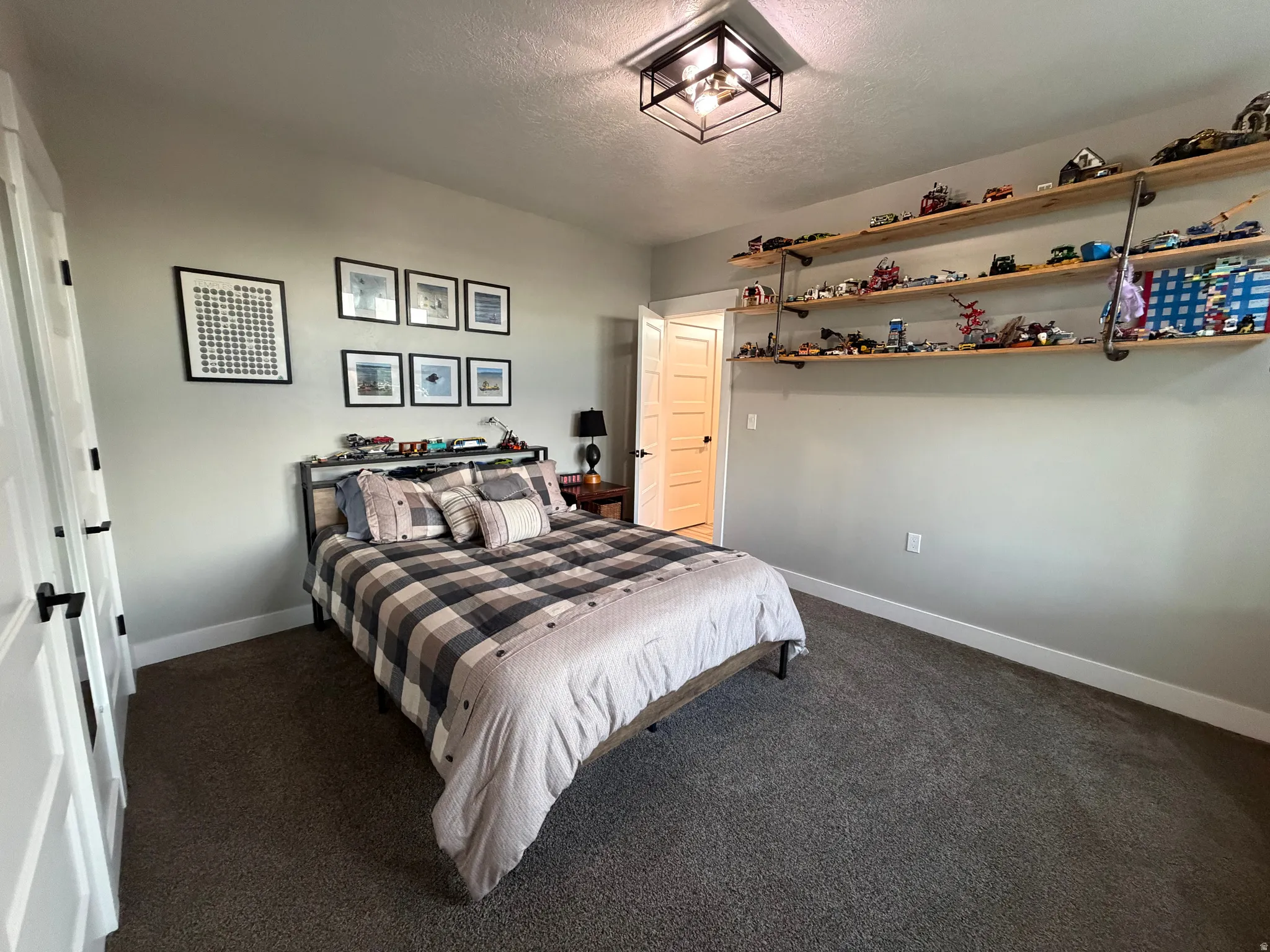 Wall-mounted shelving system, flush-mount ceiling light fixture, neutral wall color, white trim, and dark carpet flooring