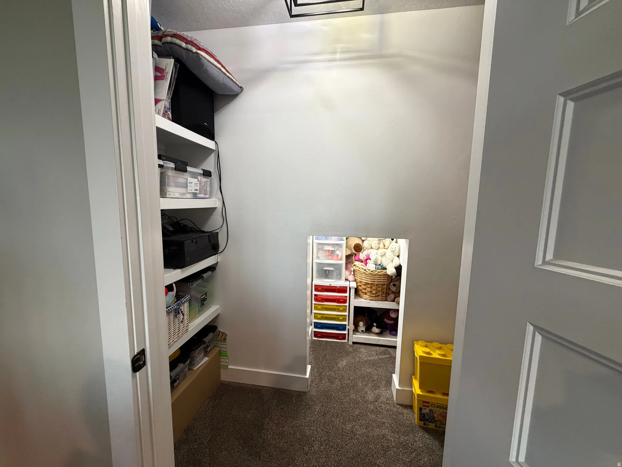 Carpeted storage area featuring built-in shelving