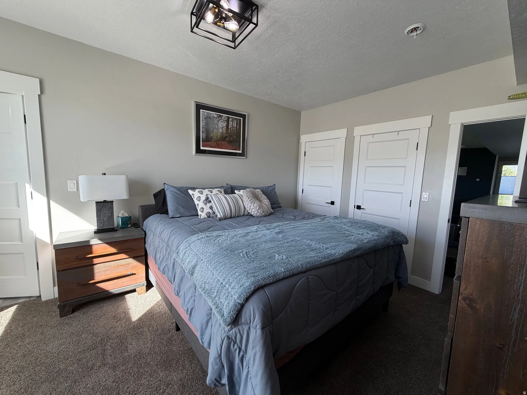 Carpeted room with a ceiling-mounted light fixture
