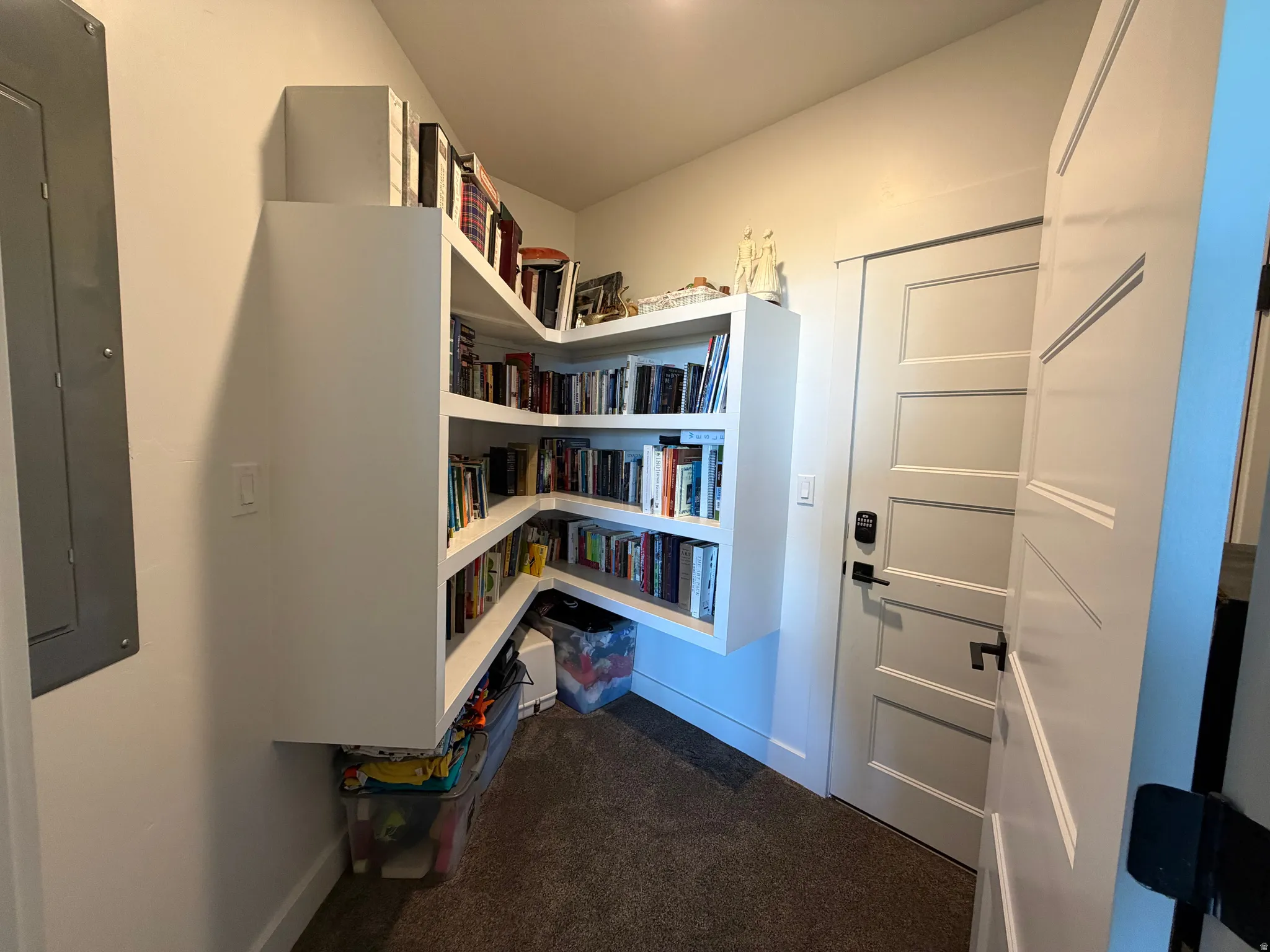Custom built-in shelving with multiple storage levels, white panel doors with black hardware, and carpet flooring