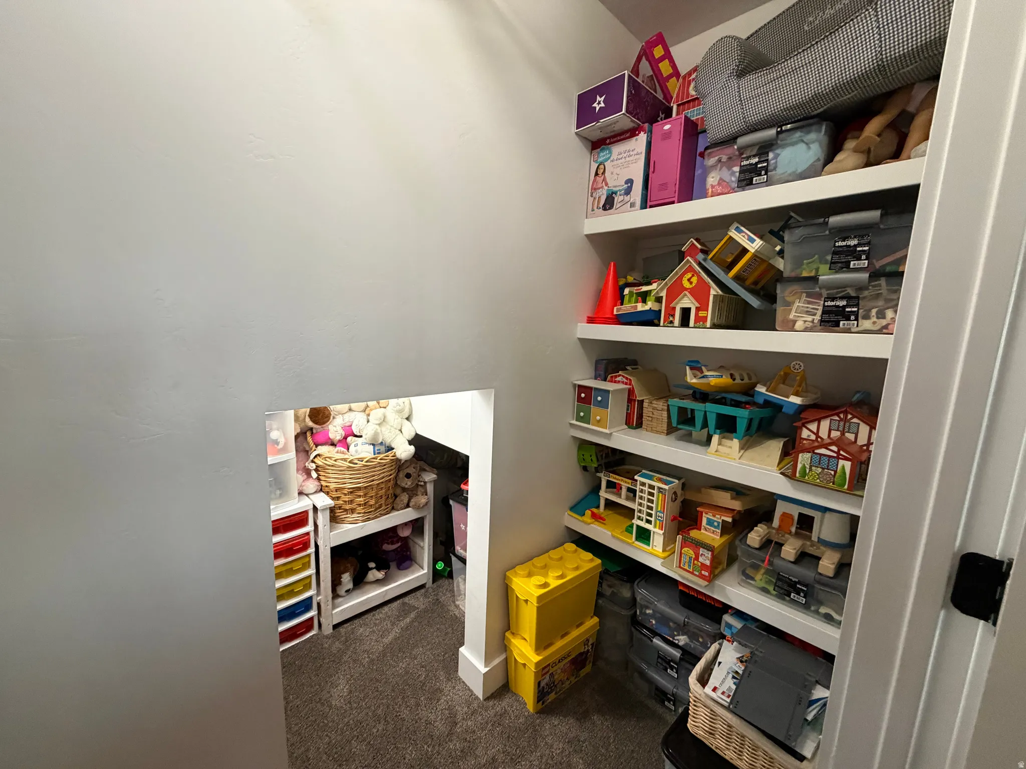 Built-in shelving with white finishes, recessed entry, and gray carpet