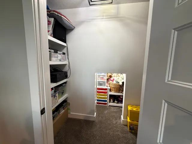 Carpeted storage area featuring built-in shelving